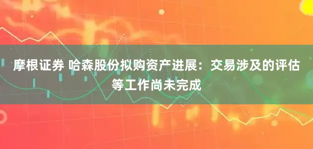 摩根证券 哈森股份拟购资产进展：交易涉及的评估等工作尚未完成