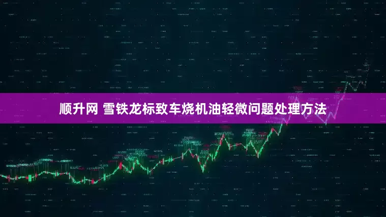 顺升网 雪铁龙标致车烧机油轻微问题处理方法